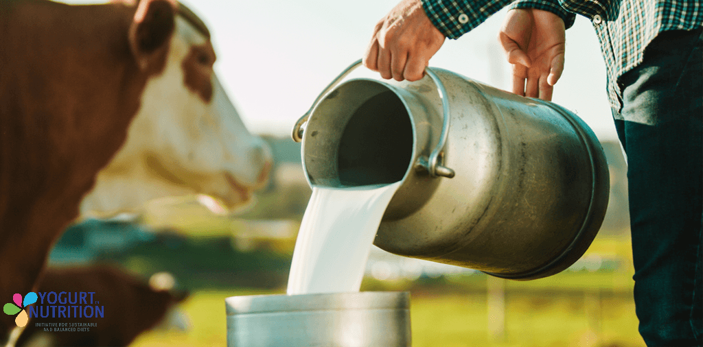 Milk being poured into a farm container